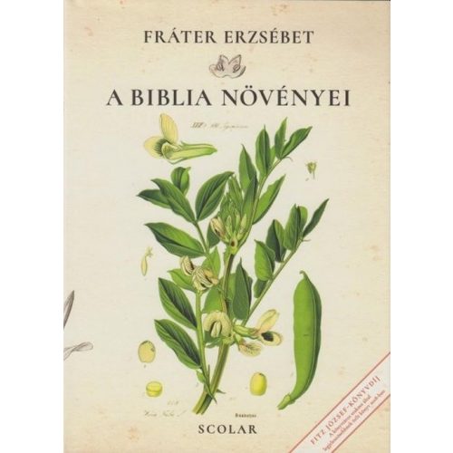 A biblia növényei